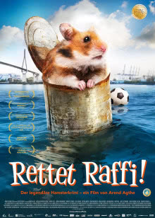 我的心里住着一只猫