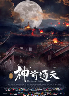 绝色神偷